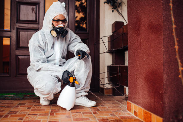 Reliable Bed Bug Control contractor in Johnsonville, SC by Nex Pest Control