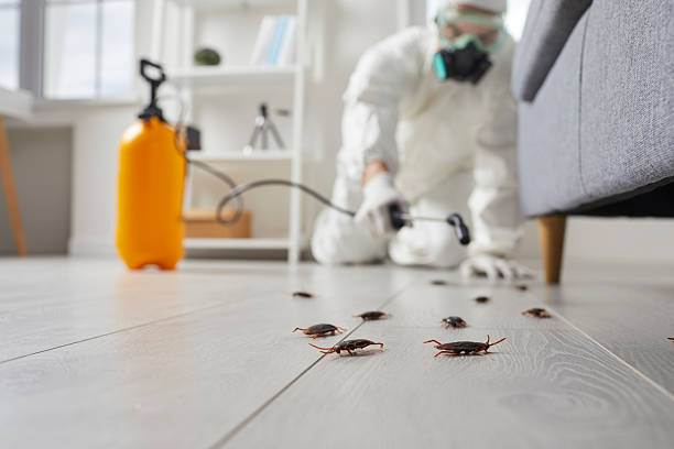 Trusted Fumigation Services service in Johnsonville, SC - Nex Pest Control
