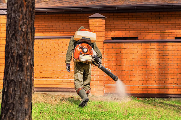 Trusted Bed Bug Control service in Johnsonville, SC - Nex Pest Control